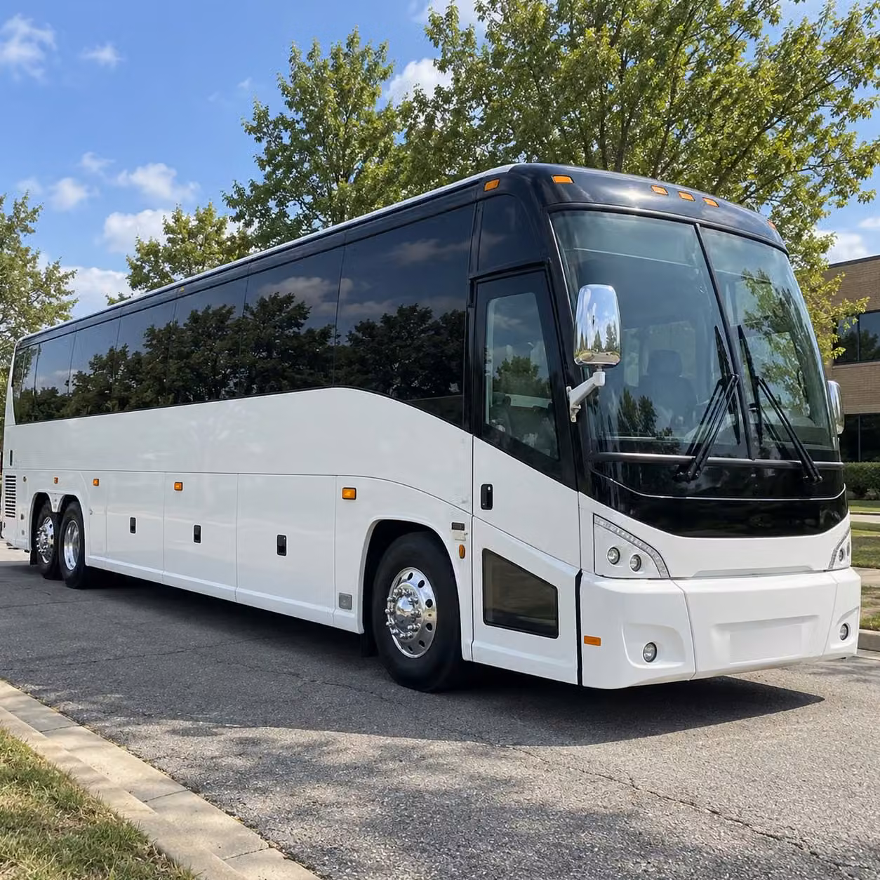 56 passenger charter bus
